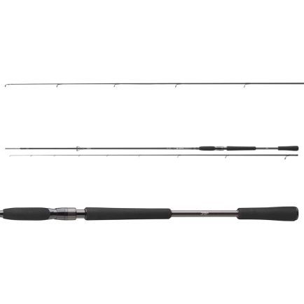 Daiwa Pro Staff Ld Sea Trout Spin MF 3.00m/160g/8-35g