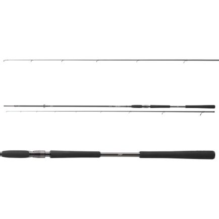 Daiwa Pro Staff Ld Sea Trout Spin F 3.05m/190g/14-42g