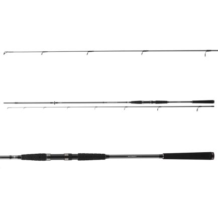 Daiwa Seahunter X Seatrout 3.10m/185g/10-40g