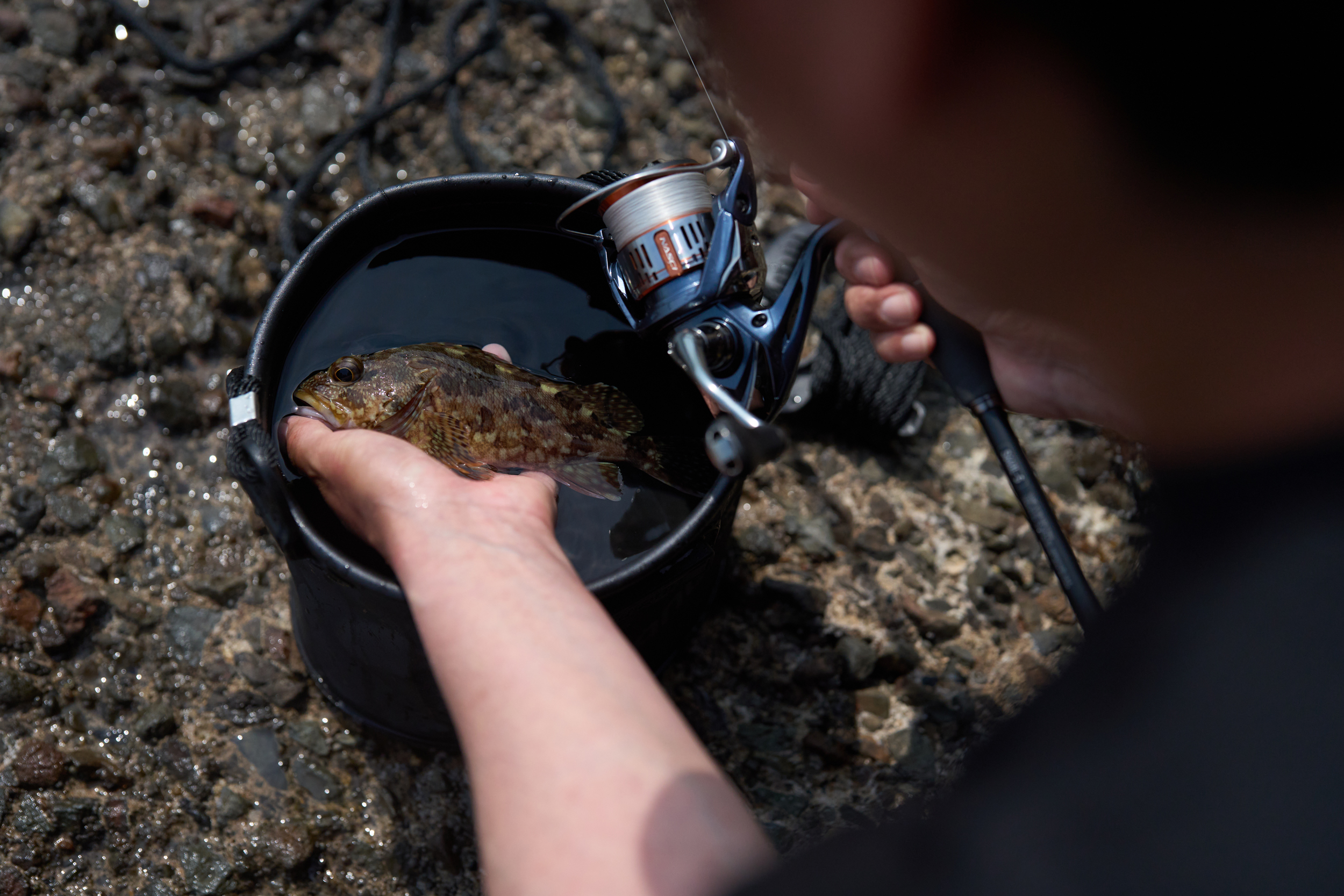 Nasci reel with catch