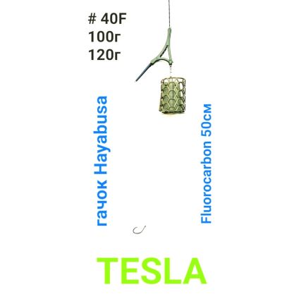 Labunskyi Tesla Fiidri valmisrakendus korviga 100g