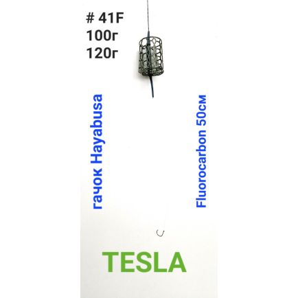 Labunskyi Tesla Fiidri valmisrakendus korviga 100g/1